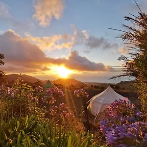 Luxe tent Free Canari - Los Alamos 8, Tegueste